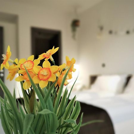 The Evergreen Nest - Silver Mountain Poiana Brasov Room photo