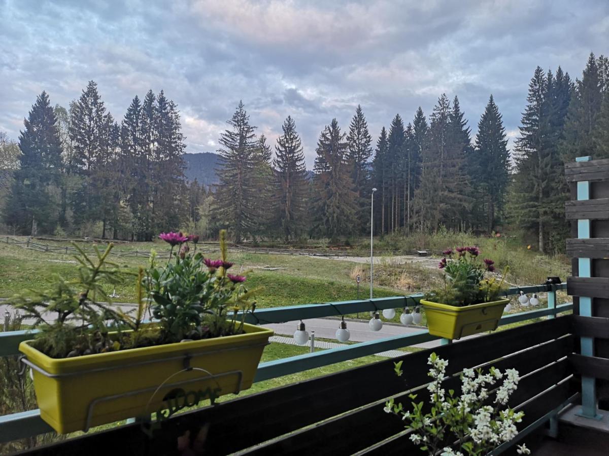 The Evergreen Nest - Silver Mountain Poiana Brasov Exterior photo