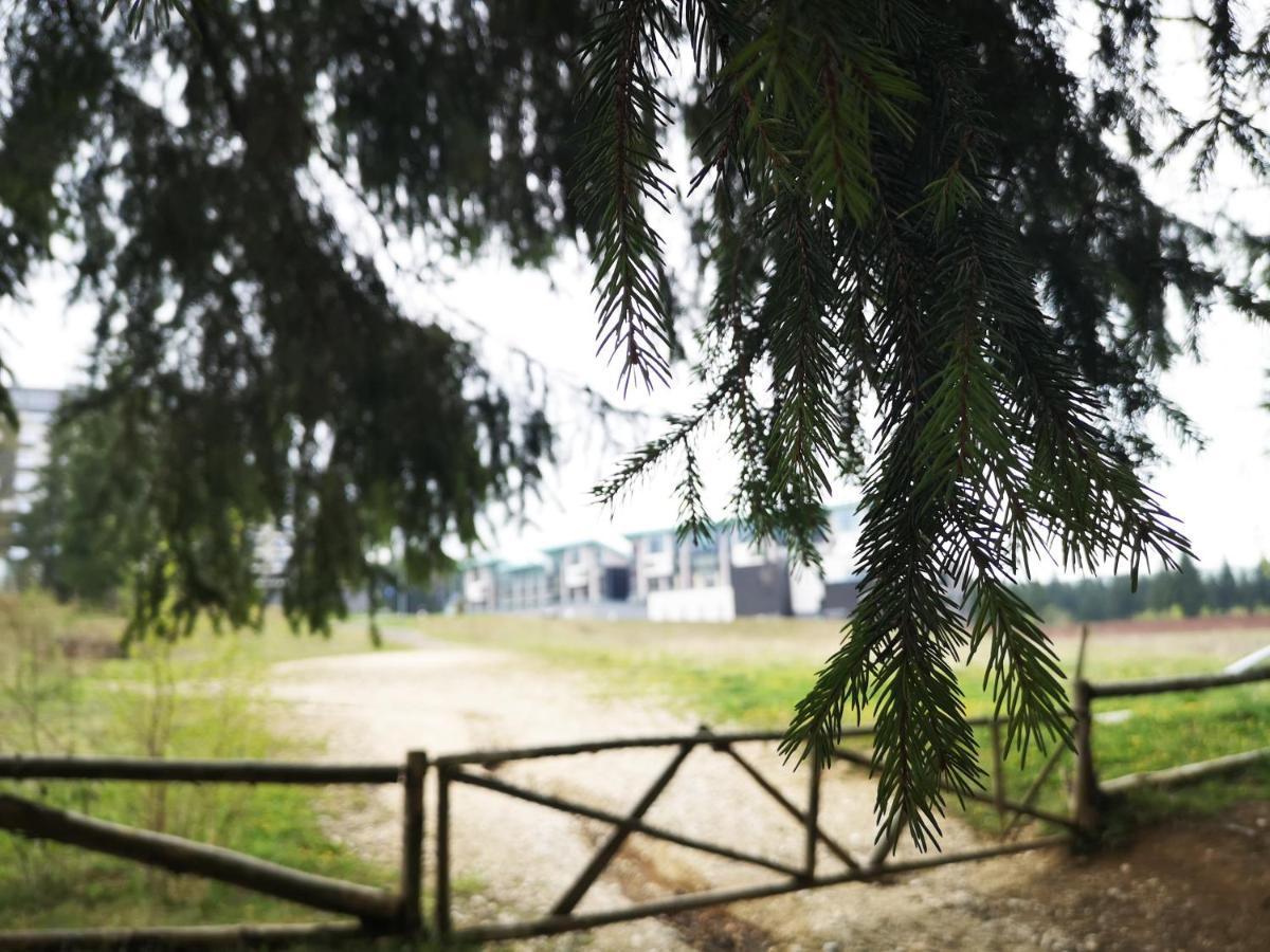 The Evergreen Nest - Silver Mountain Poiana Brasov Exterior photo
