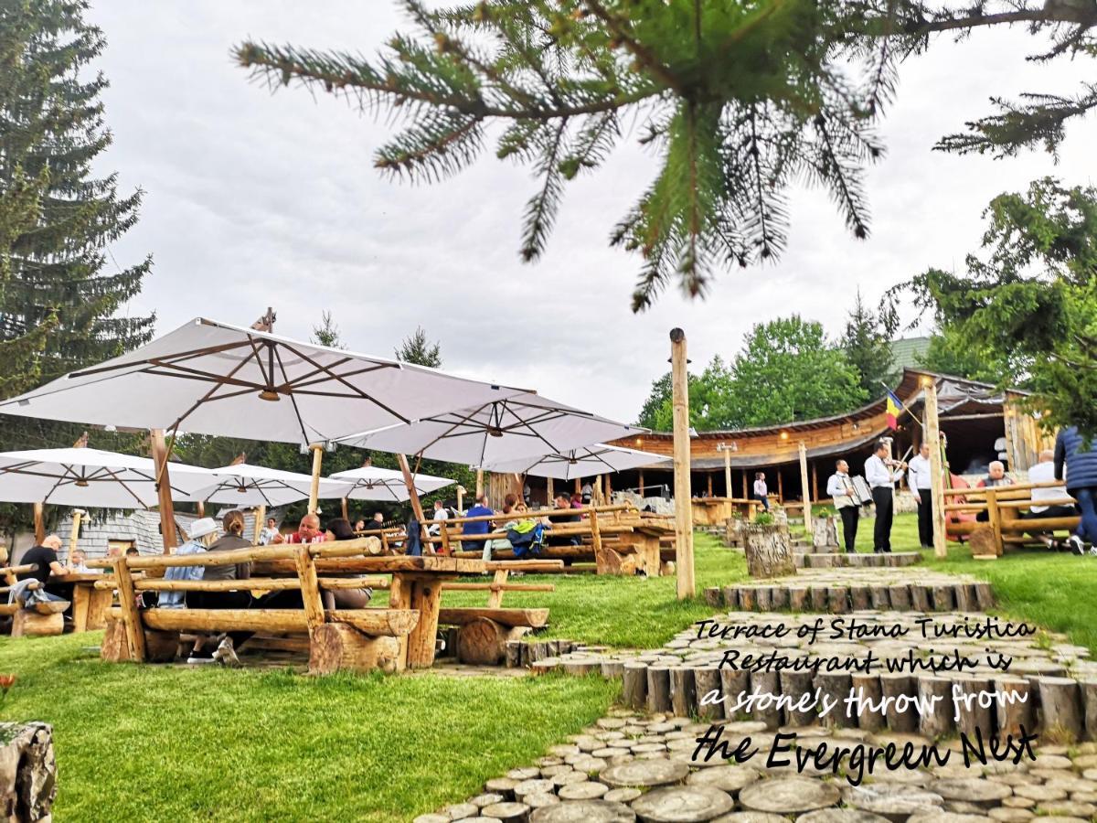 The Evergreen Nest - Silver Mountain Poiana Brasov Exterior photo