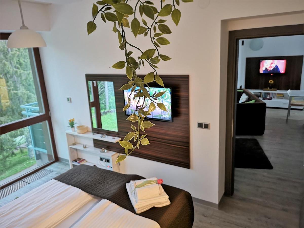 The Evergreen Nest - Silver Mountain Poiana Brasov Exterior photo