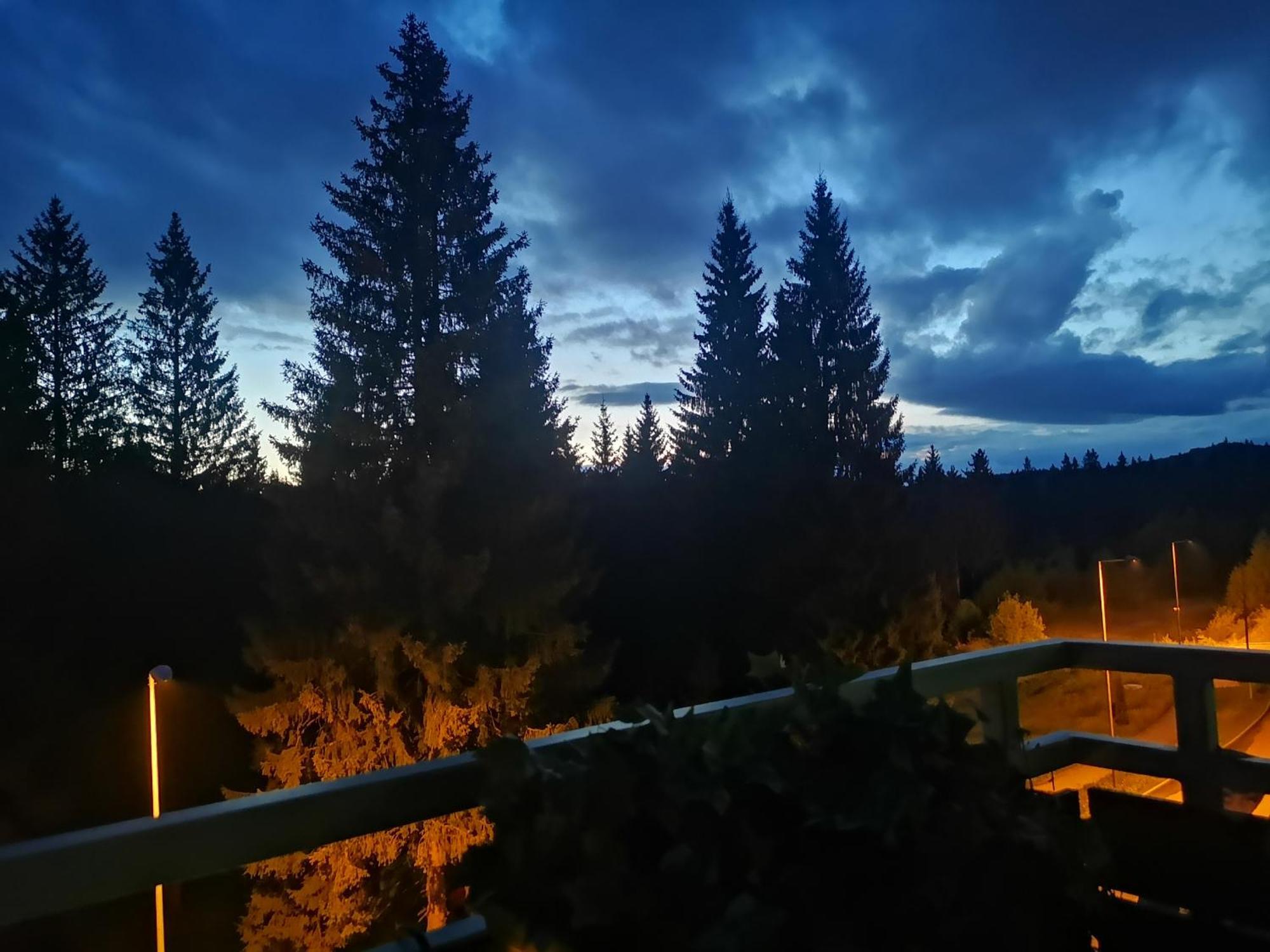 The Evergreen Nest - Silver Mountain Poiana Brasov Room photo